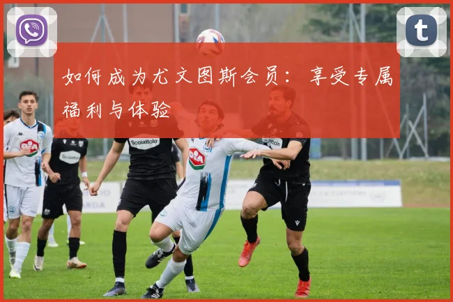 如何成为尤文图斯会员：享受专属福利与体验